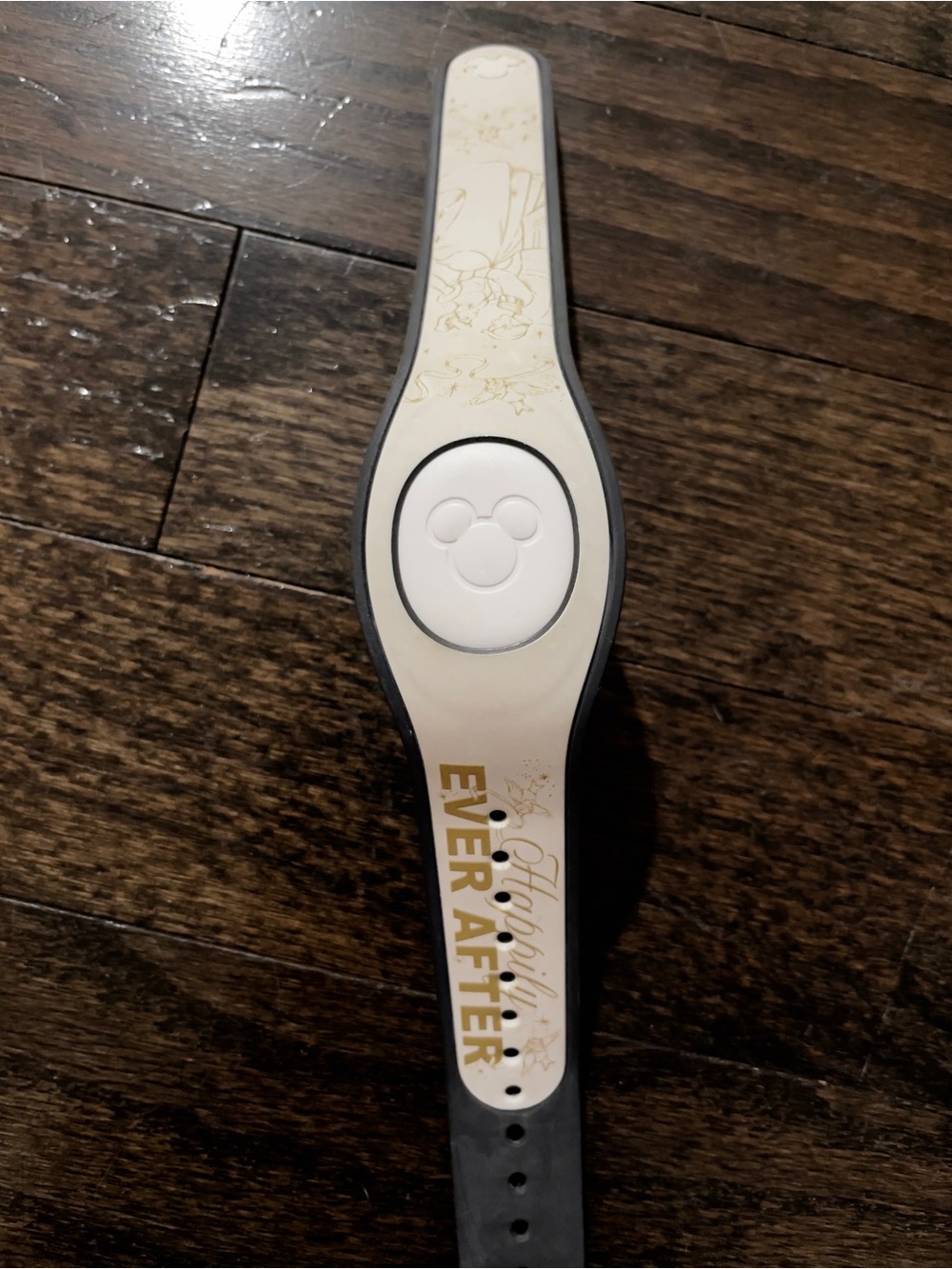 Disney Cinderella Happily Ever After MagicBand 2 Strap 2022 Exclusive